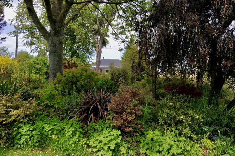 4 Exeter Street Waimate_16