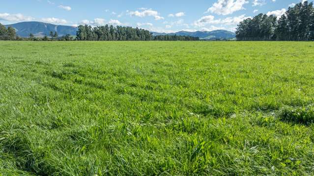 375 Stonyflat Road Loburn_3