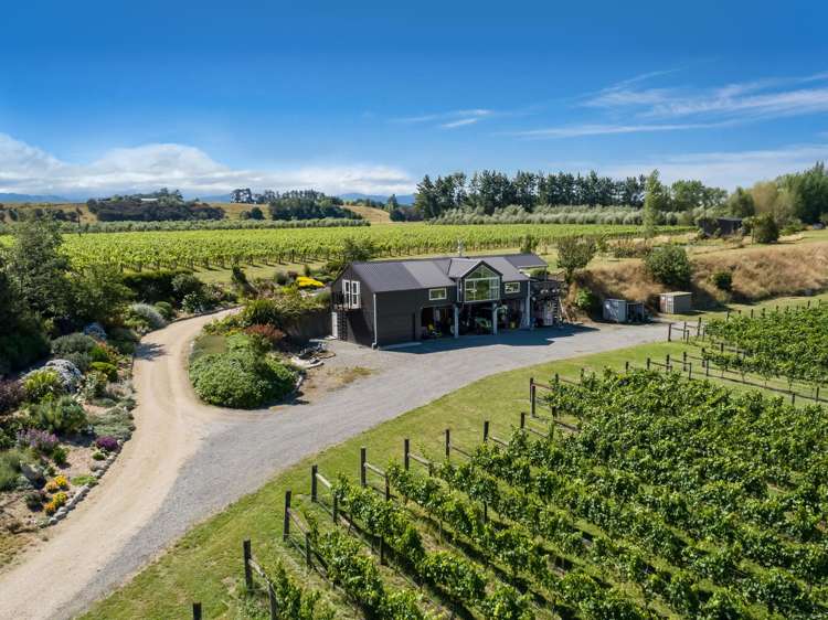 224 Dakins Road East Taratahi_28