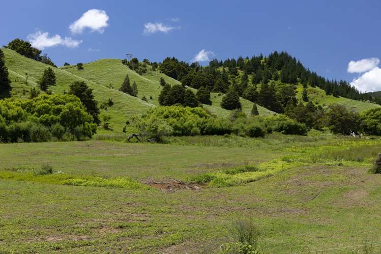 791 Fairburn Road Kaitaia Surrounds_8