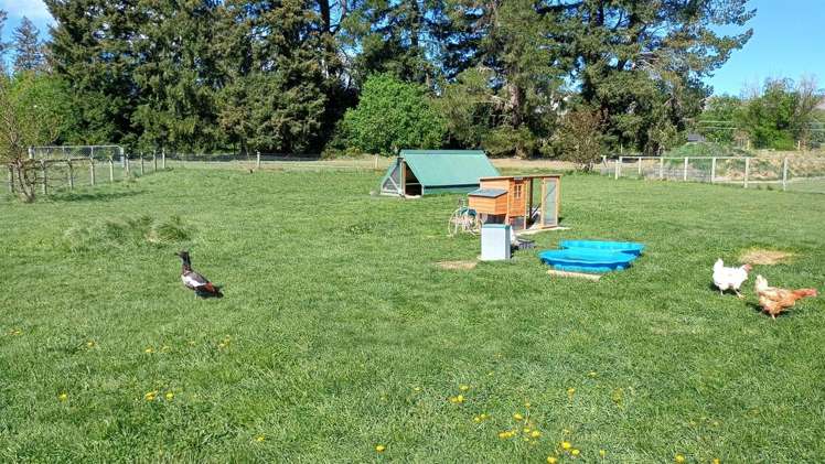 312 Clayton Road Fairlie_25