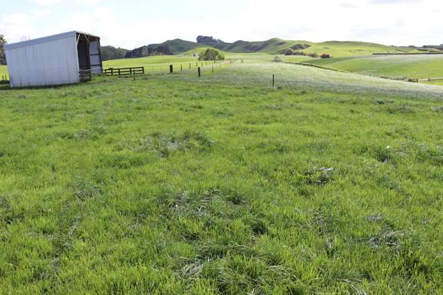 734 Bird Road Pukengahu_3