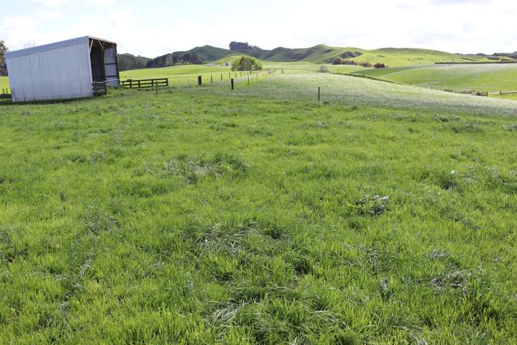 734 Bird Road Pukengahu_3