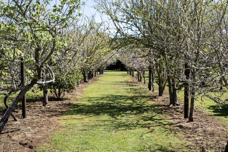 6926A Mangakahia Road Kaikohe_36