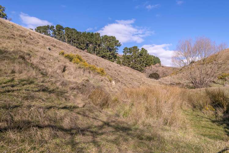 306 Bayview Road Diamond Harbour_8