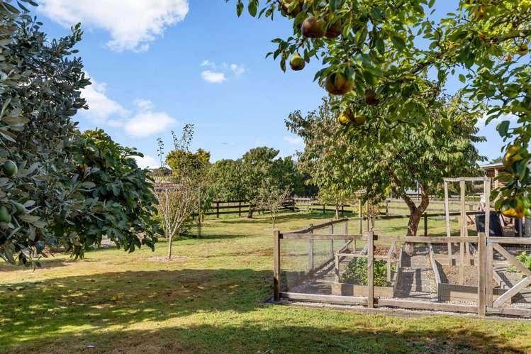 4 Old School Road Ngahinapouri_29