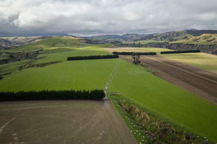 3717 Inland Kaikoura Road Mt Lyford_3