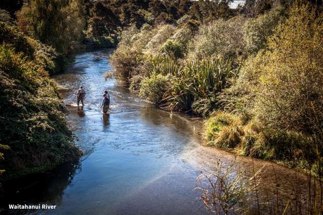 25 Mill Road Waitahanui_1