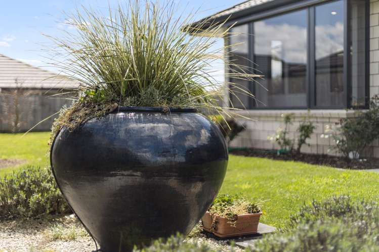 31 Banks Road Matamata_24