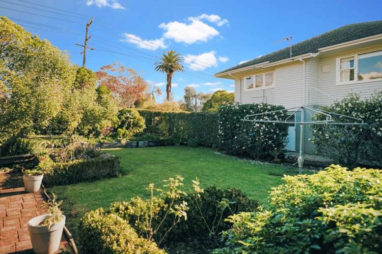 24 Dudley Road Mission Bay_7