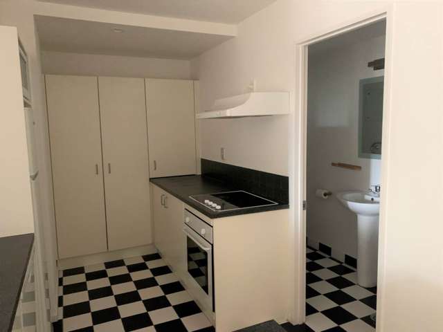 4D/250 Richmond Road Grey Lynn_2