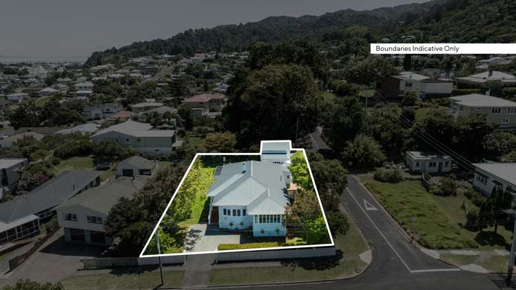 209 Hape Road Thames_29