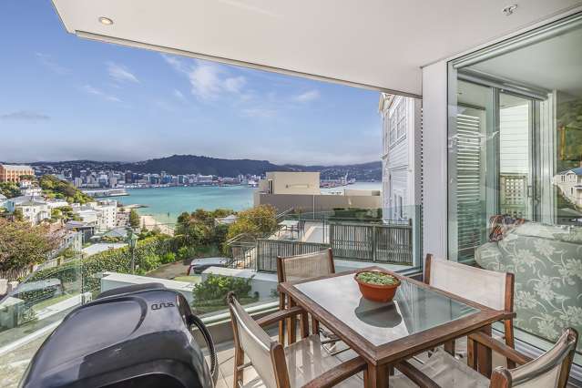 2b/22 Telford Terrace Oriental Bay_2