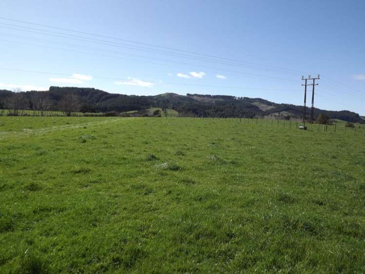 9 Mangakino Road Raglan_10