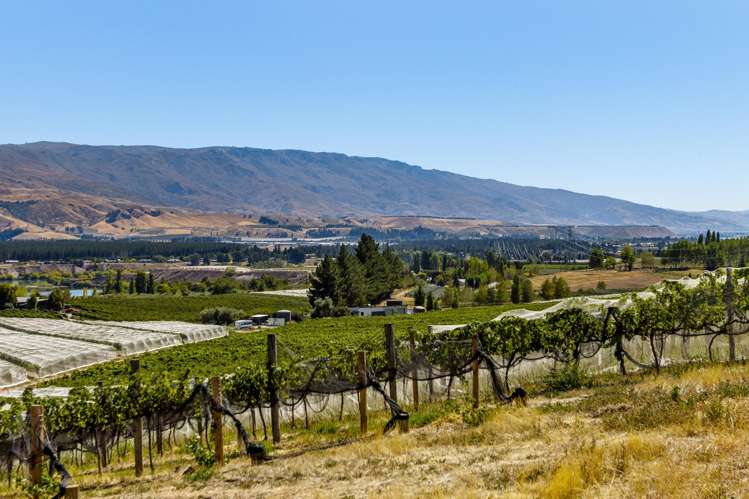 98c Paterson Road Nevis_17