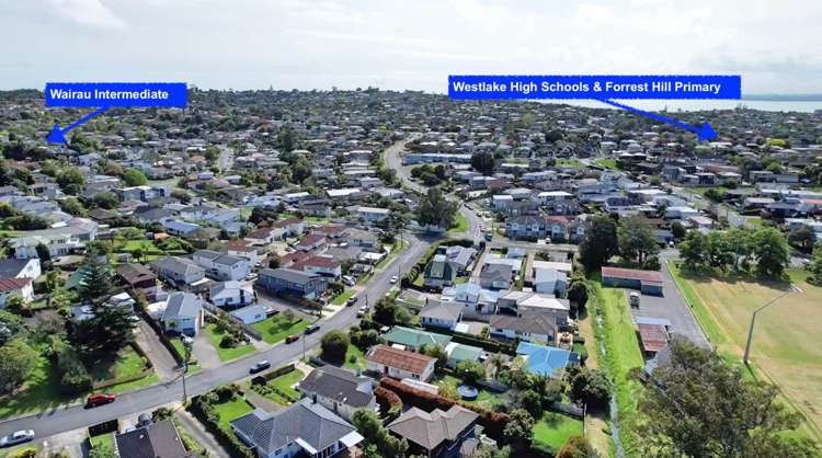 6 Lyttelton Avenue Forrest Hill_11