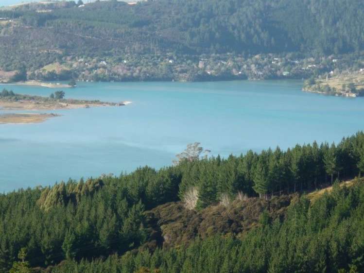 113 Wright Road Evansdale_1