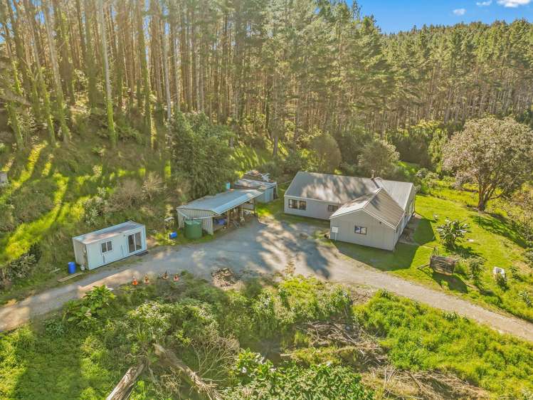 110 Whangape Track Road Broadwood_35