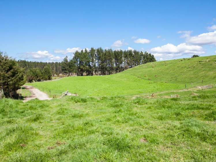 667a Kopuriki Road Murupara Surrounds_12