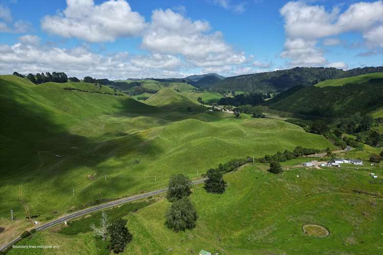1911 Tutukau Road Wairakei and Surrounds_9