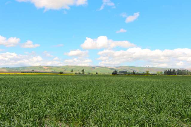 Ideal on the Outskirts of Fairlie - 19 Hectares