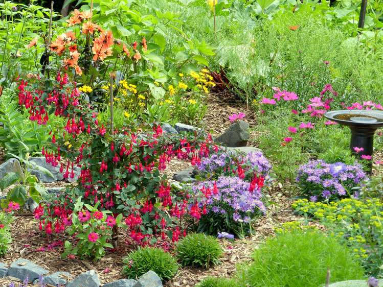 53 Kitewaho Road Swanson_102