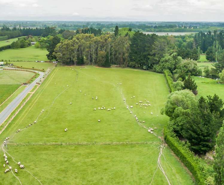 295 Dixons Road Loburn_22