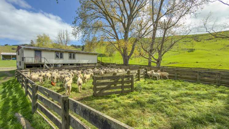 148 Mangawara Road Kaihere_9