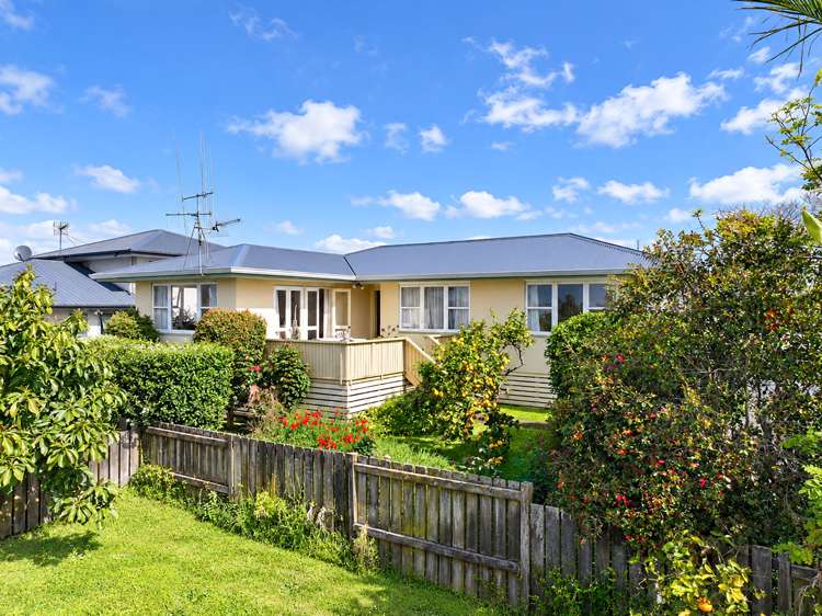 87B Mansels Road Greerton_11