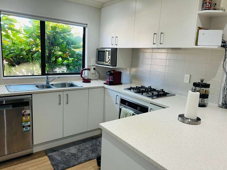 2B Peary Road Mount Eden_1