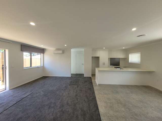 30 Wrantage Street Westown_3