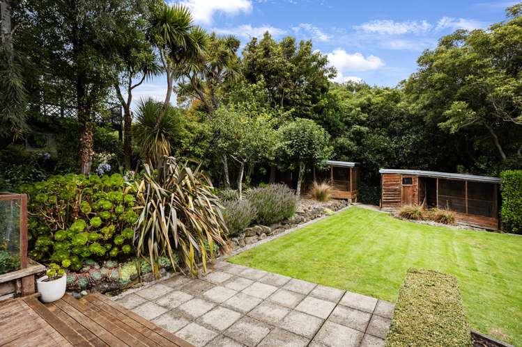 50 Every Street Andersons Bay_24