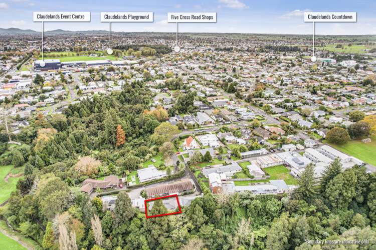 11b Armagh Street Hamilton East_21