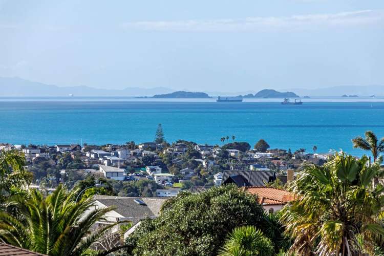 97 Penguin Drive Murrays Bay_36