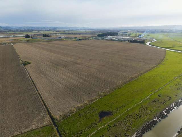 217 Dunstan Road Matawhero_1