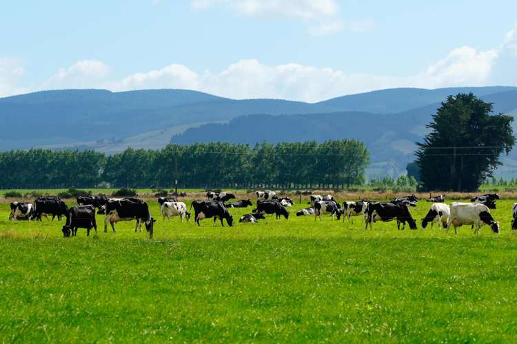 867 Hundred Line Road East South Hillend_15