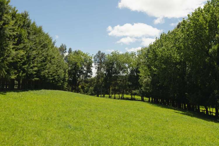 23 Foster Road Kumeu_18