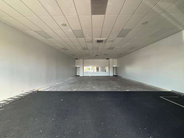 217 Blenheim Road Riccarton_2