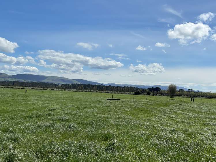 799 Kaka Point Road Balclutha_7