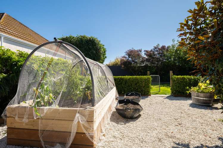 9 Eva Crescent Witherlea_22