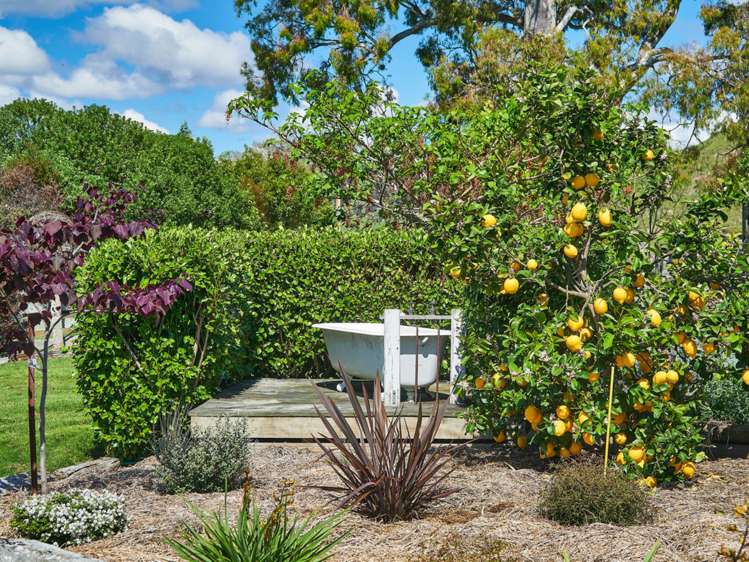 223 Taurau Valley Road Manutuke_9