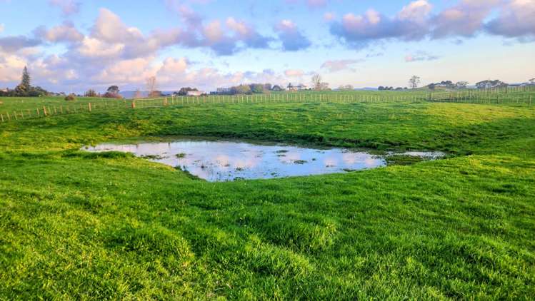 347 Grahams Beach Road Awhitu_4