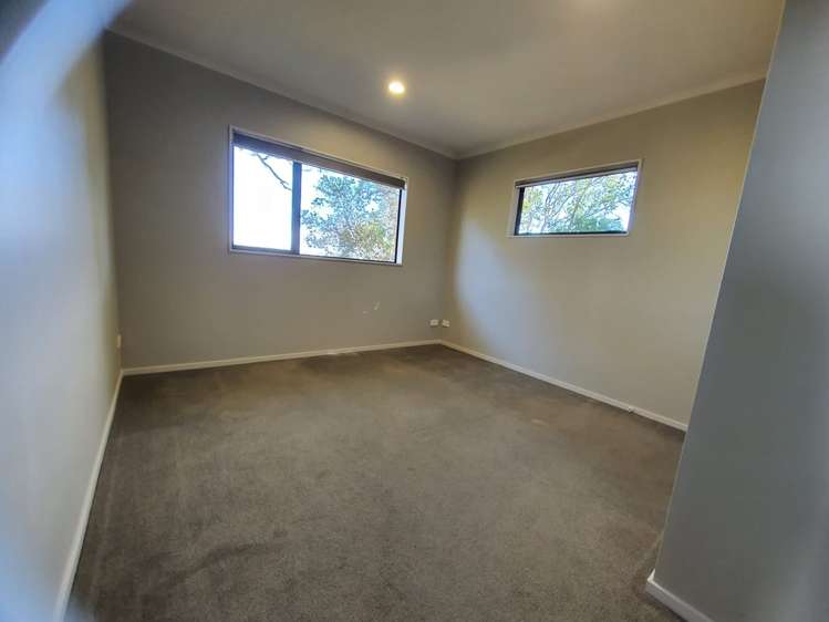 31a Tiverton Road Avondale_13