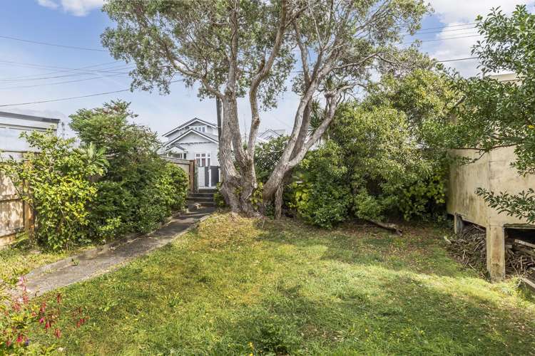 3 Matai Road Hataitai_3