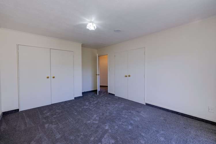 208 Avondale Road Greenmeadows_7