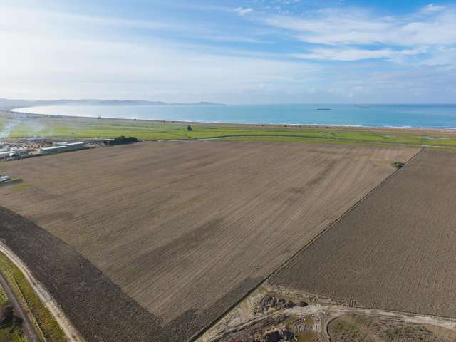 217 Dunstan Road Matawhero_2