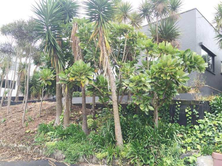 15 Otahuri Crescent Greenlane_21