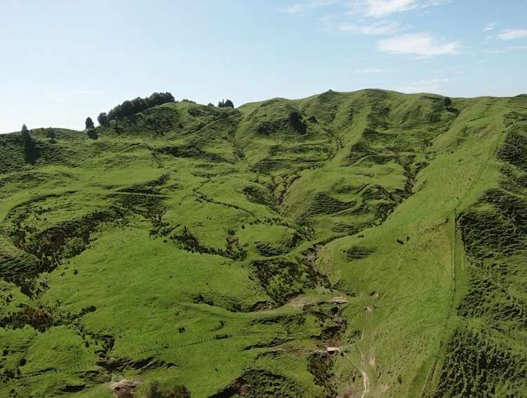 167 Whenuakura Road Waimiha-Ongarue_11