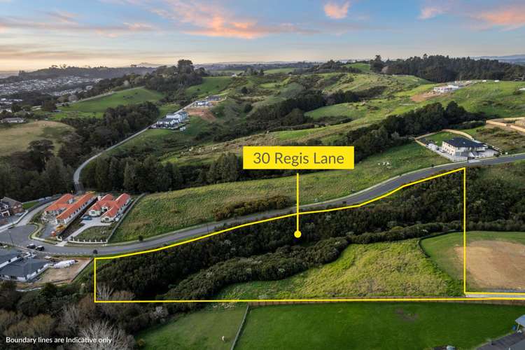 30 Regis Lane Flat Bush_2