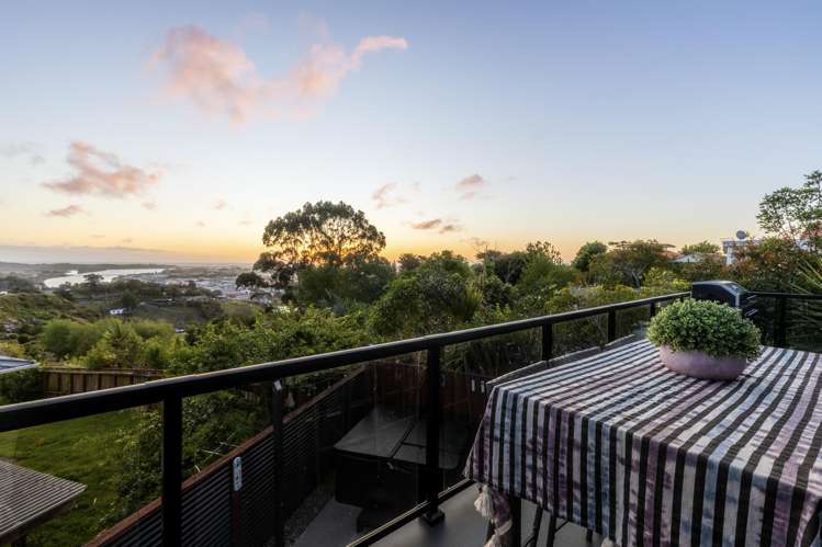 106 Mount View Road Bastia Hill_9